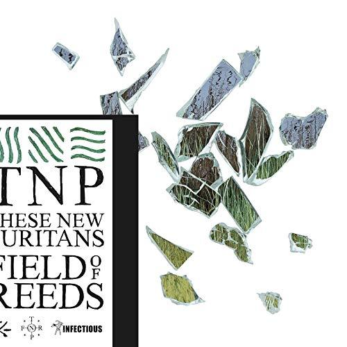 These New Puritans - Field of Reeds - Cd