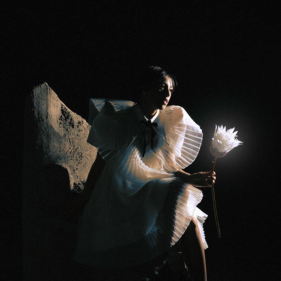 Telenova - Time Is A Flower - Lp