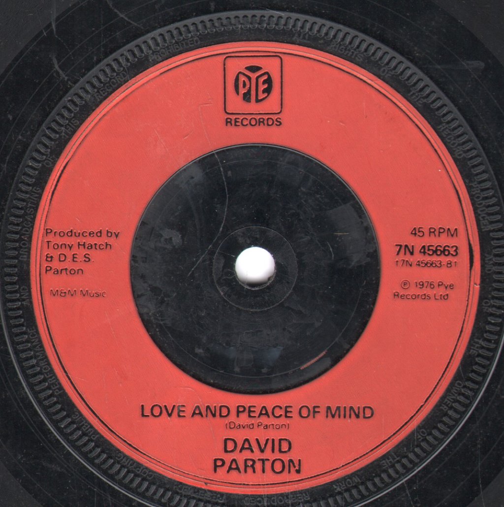 David Parton - Isn't She Lovely - 7 Inch