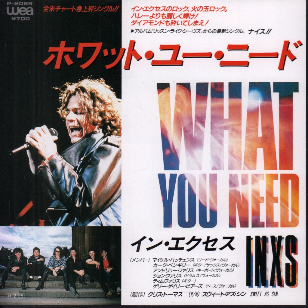 INXS - What You Need - 7 Inch