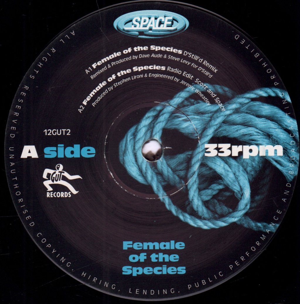 Space (Late 90'S Group) - Female Of The Species - 12 Inch