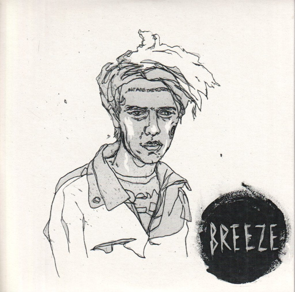 breeze (indie band from hull) - post youth - Cdr