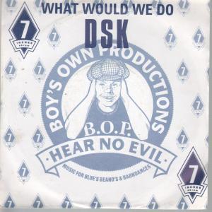 Dsk - What Would We Do - 7 Inch