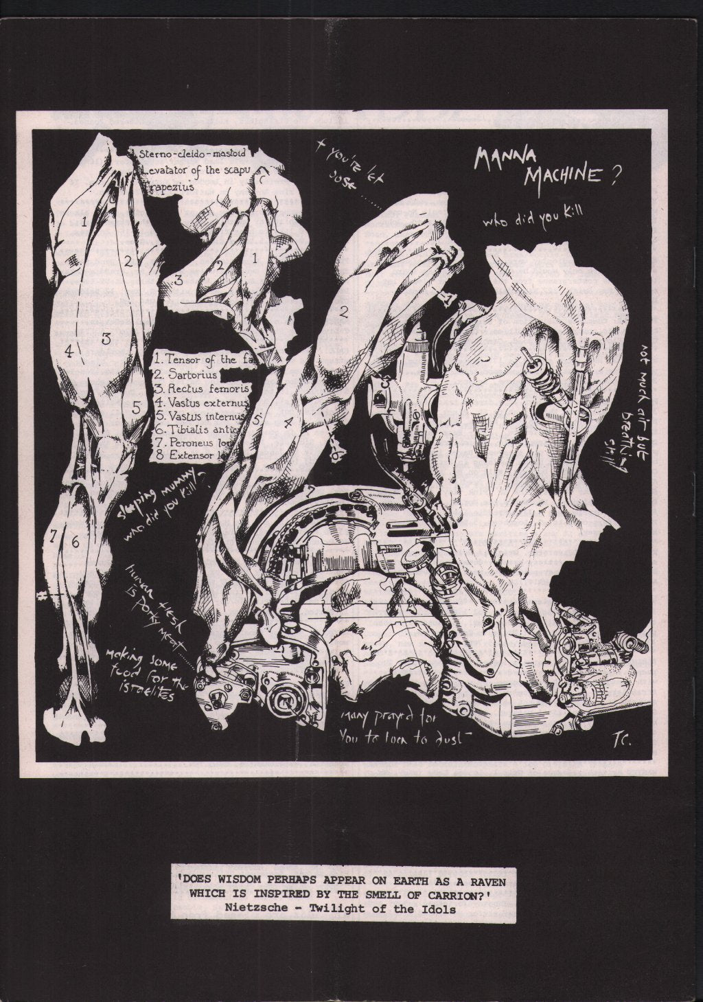 Stranglers - Strangled Volume 2 Number 6 - Fanzine