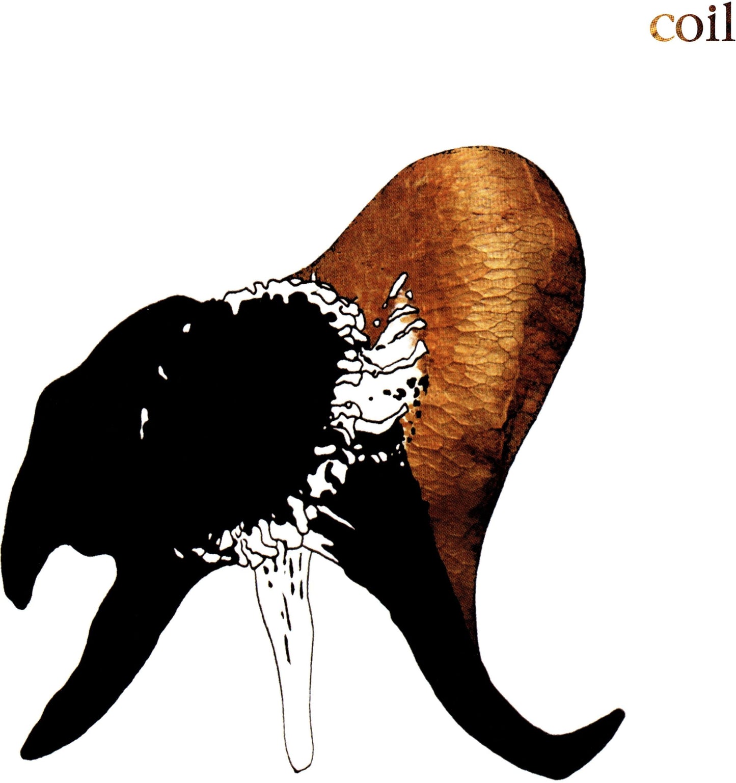 Coil - Black Antlers - Cd