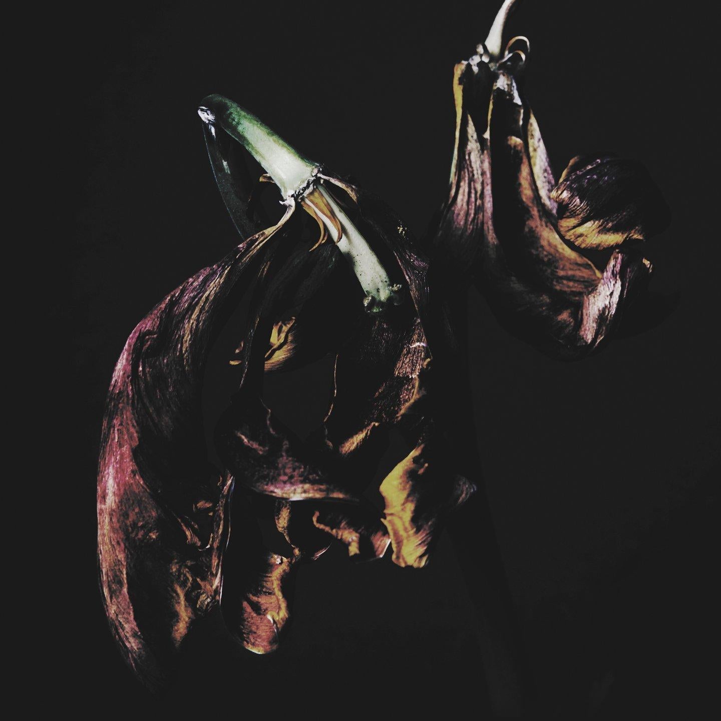 TRAAMS - Grin - Lp