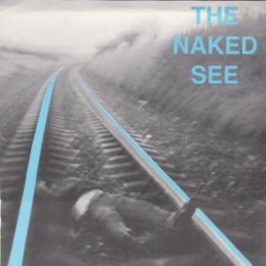 Naked See - Nothings Lost - 7 Inch