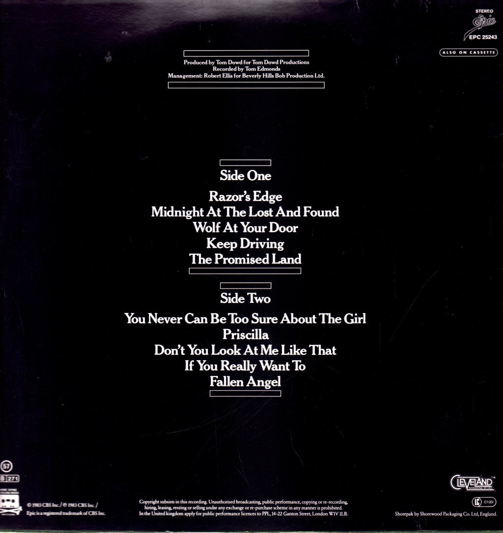 Meat Loaf - Midnight At The Lost And Found - Lp