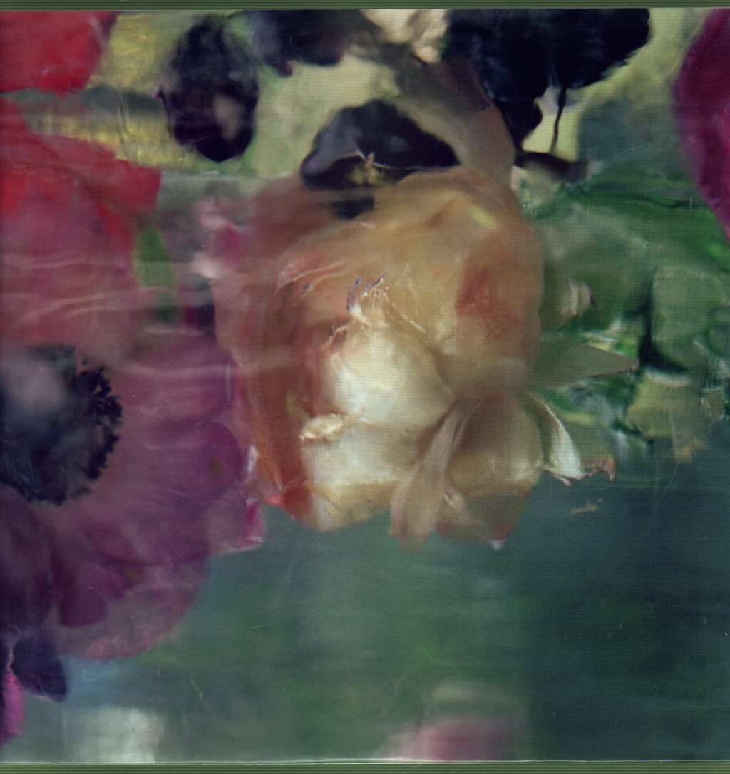 Efterklang - Windflowers - Lp