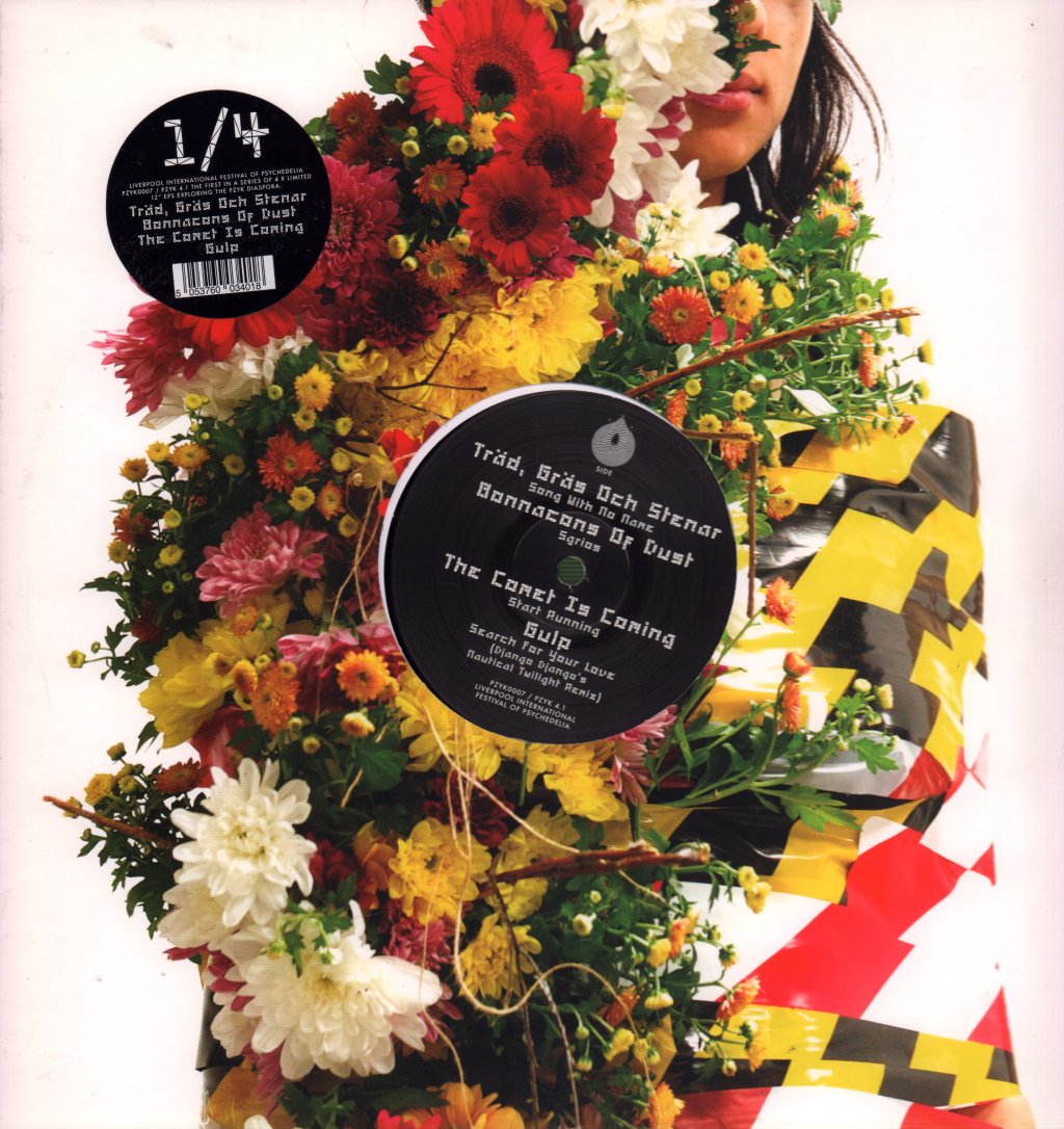 Various Artists - PZYK 4.1 - 12 Inch