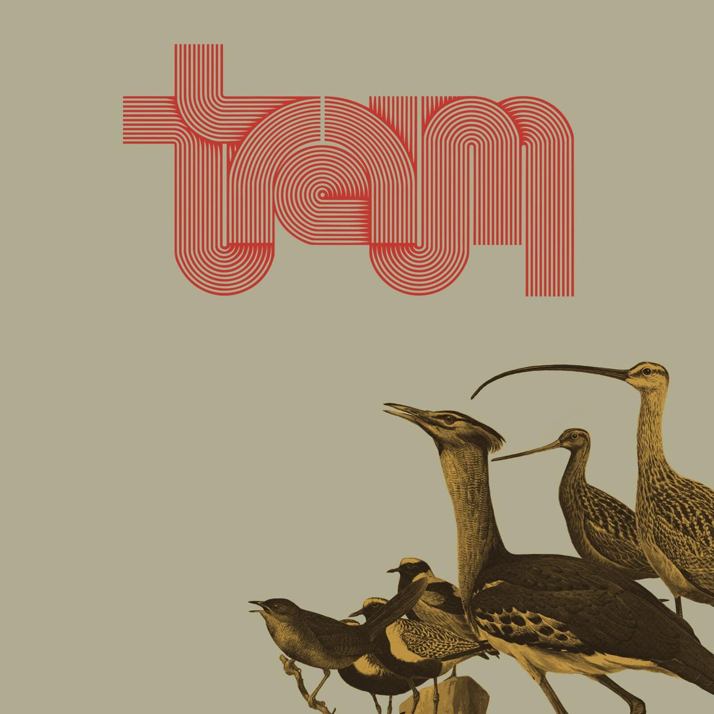 Traum - Traum - Lp