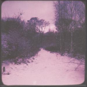 Blue Roses - Doubtful Comforts - 7 Inch