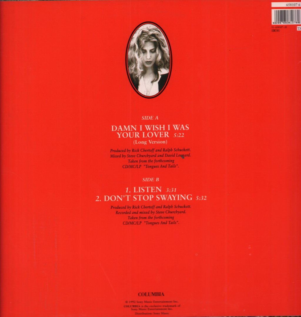 Sophie B Hawkins - Damn I Wish I Was Your Lover - 12 Inch