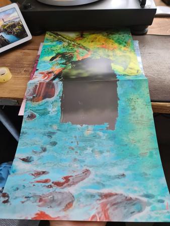 Willy Mason - Already Dead - Lp