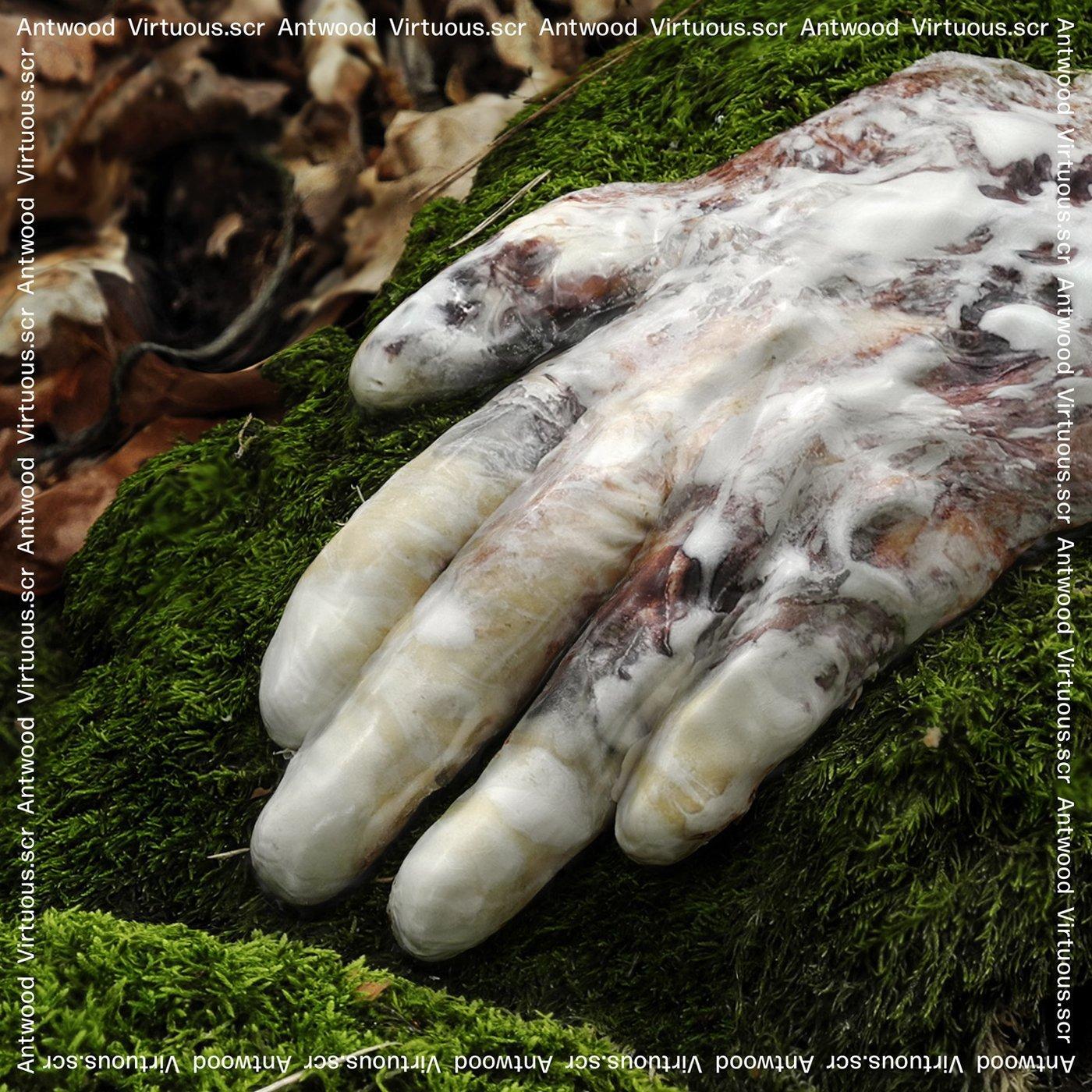 Margaret Antwood - Virtuous.scr - Cd