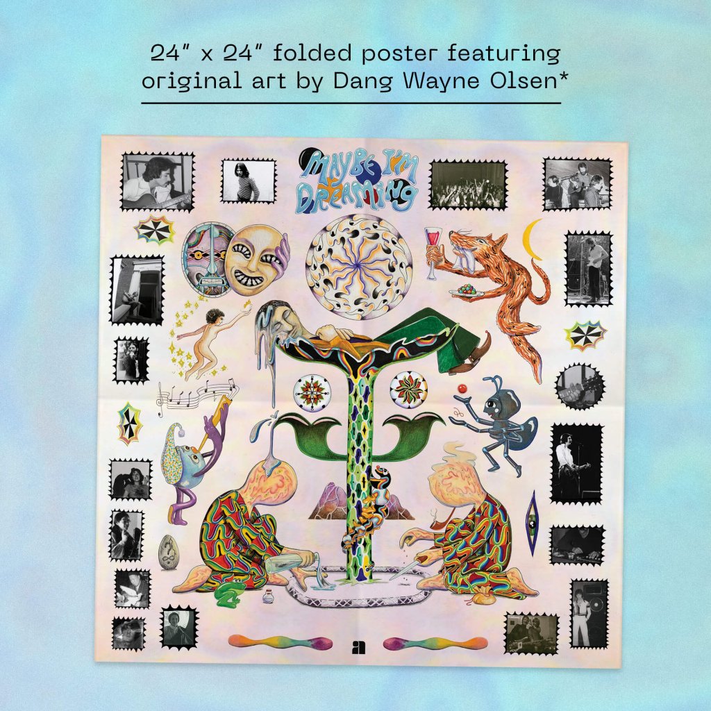 Various Artists - Maybe I'm Dreaming (Dinked Edition #347) - Double Lp