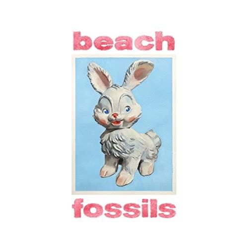 Beach Fossils - Bunny - Cd
