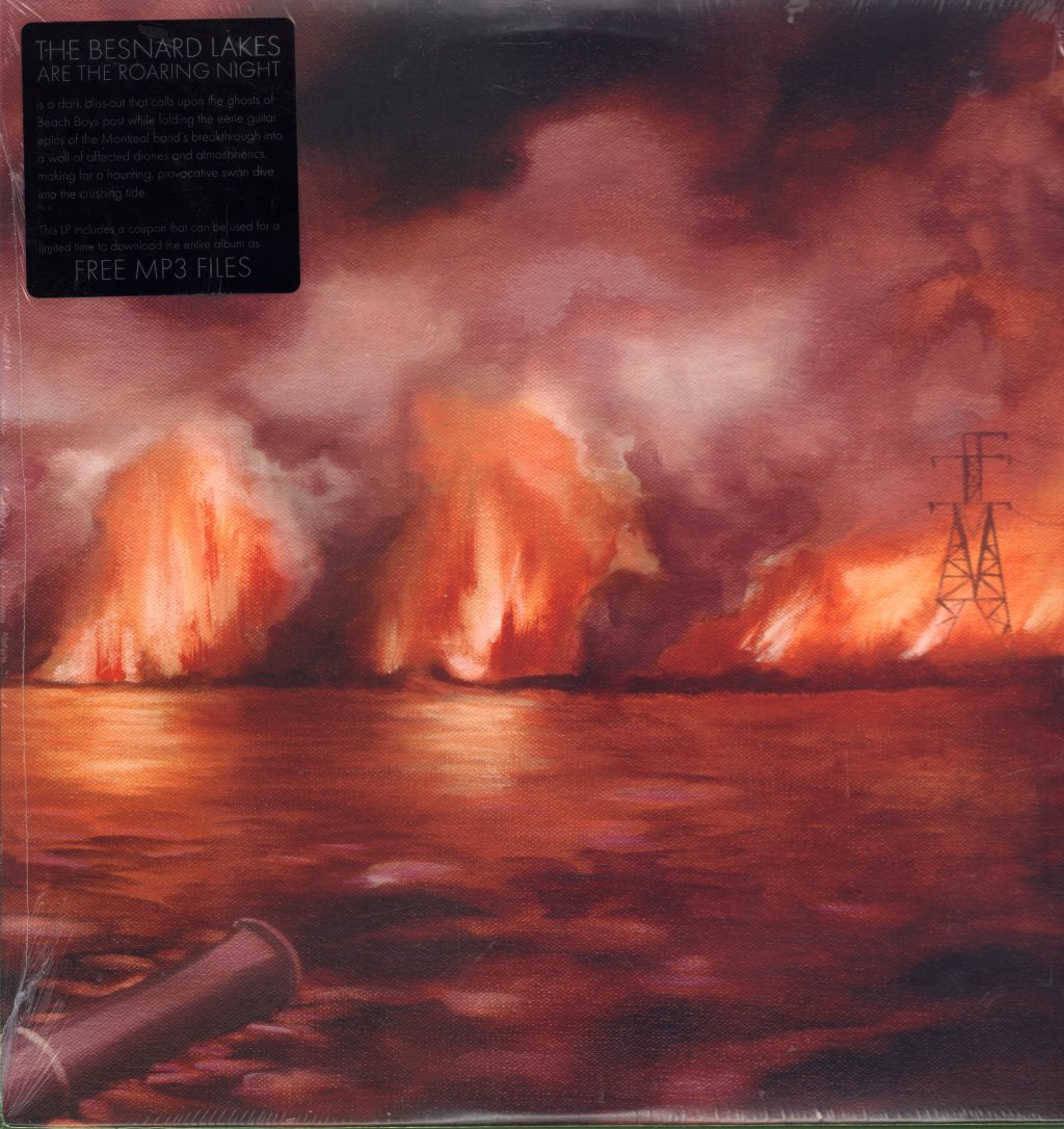 Besnard Lakes - Besnard Lakes Are The Roaring Night - Lp