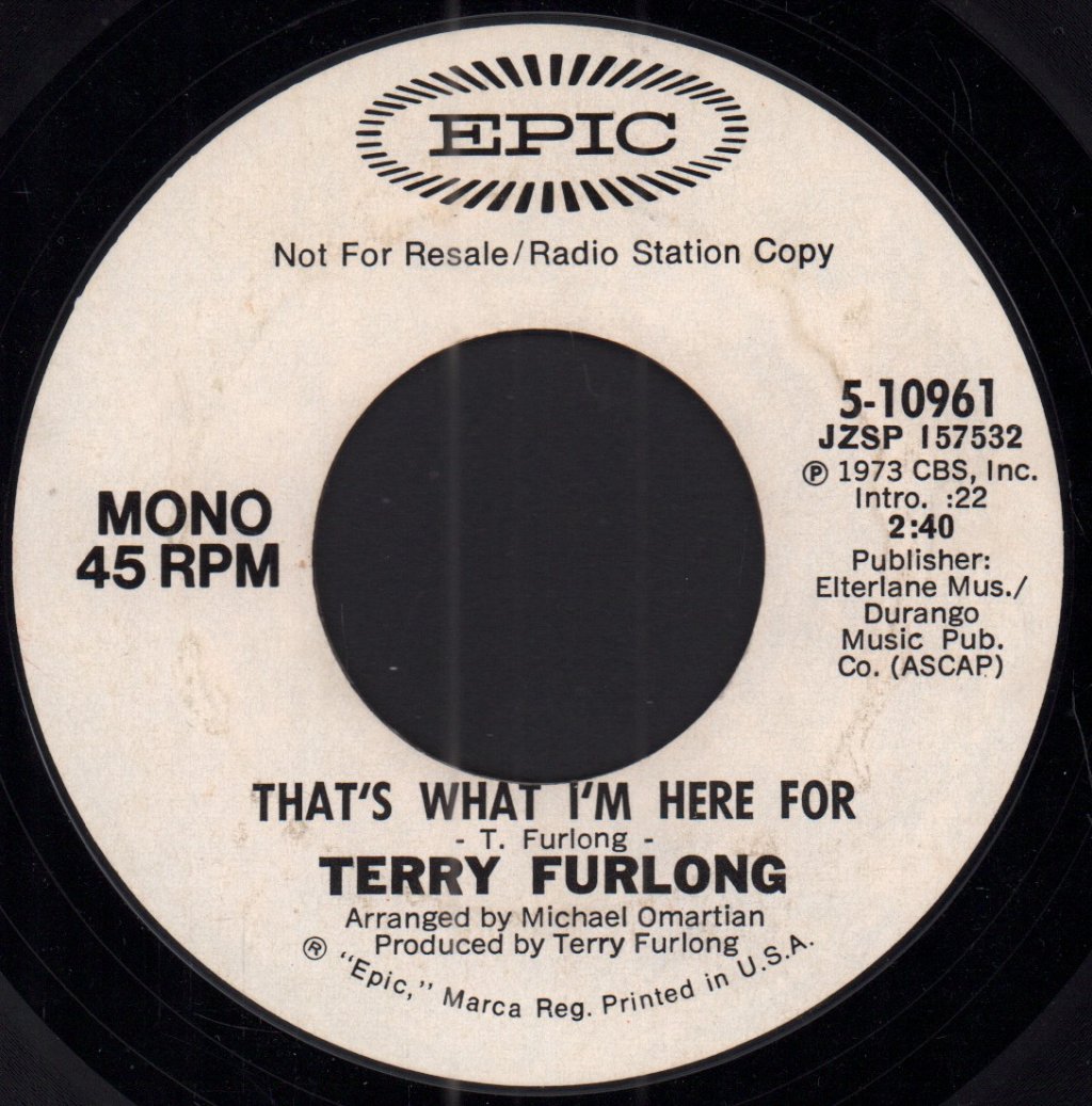 Terry Furlong - That's What I'm Here For - 7 Inch