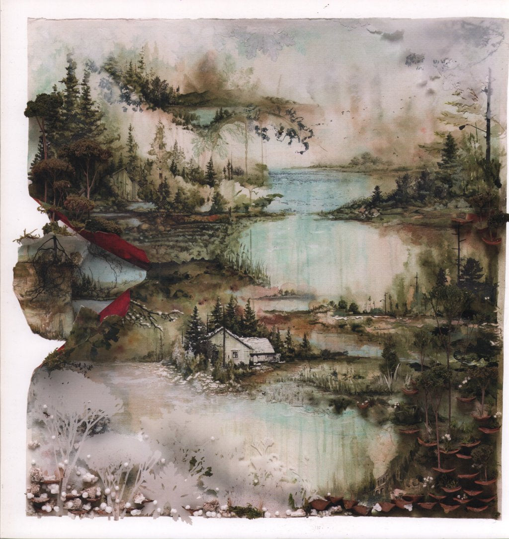 Bon Iver - Bon Iver, Bon Iver - Lp