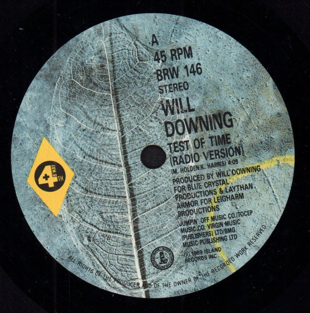 Will Downing - Test Of Time - 7 Inch