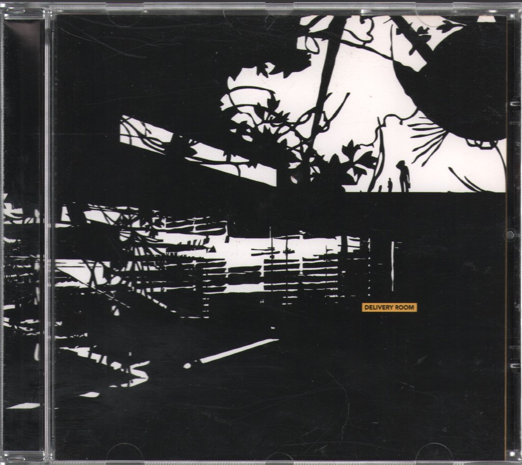 Various Artists - Delivery Room - Cd