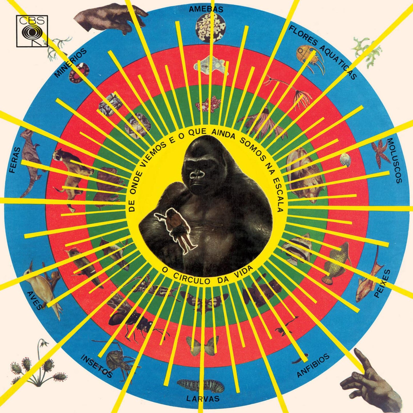 Pedro Santos - Krishnanda - Lp