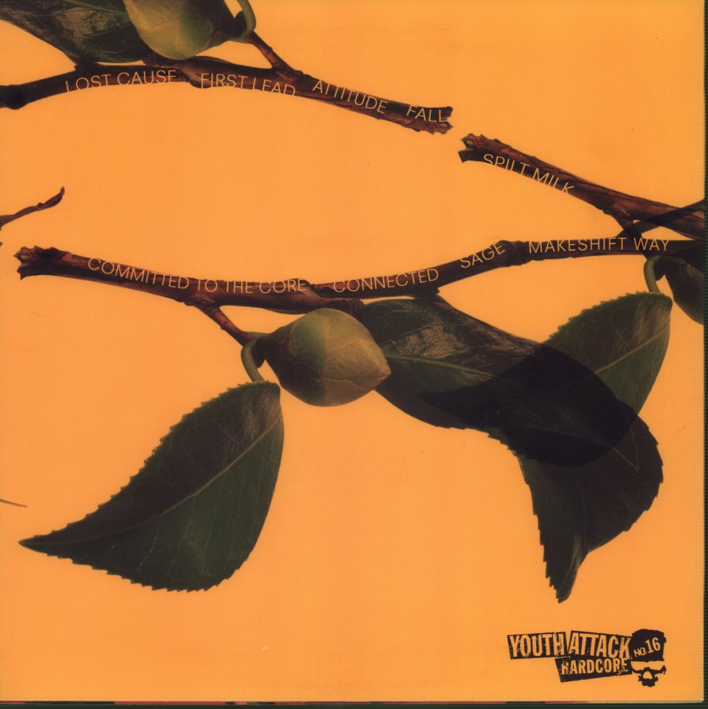Total Fury - Committed To The Core - 10 Inch