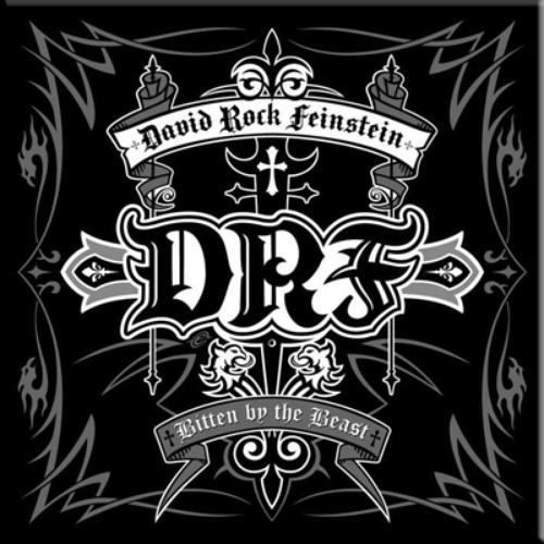 David "Rock" Feinstein - Bitten By the Beast - Cd