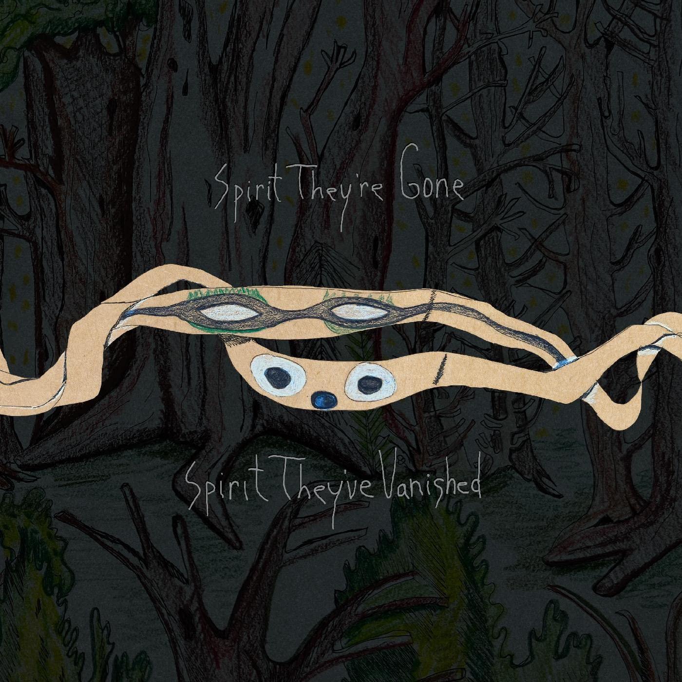 Animal Collective - Spirit They're Gone Spirit They've Vanished - Double Cd