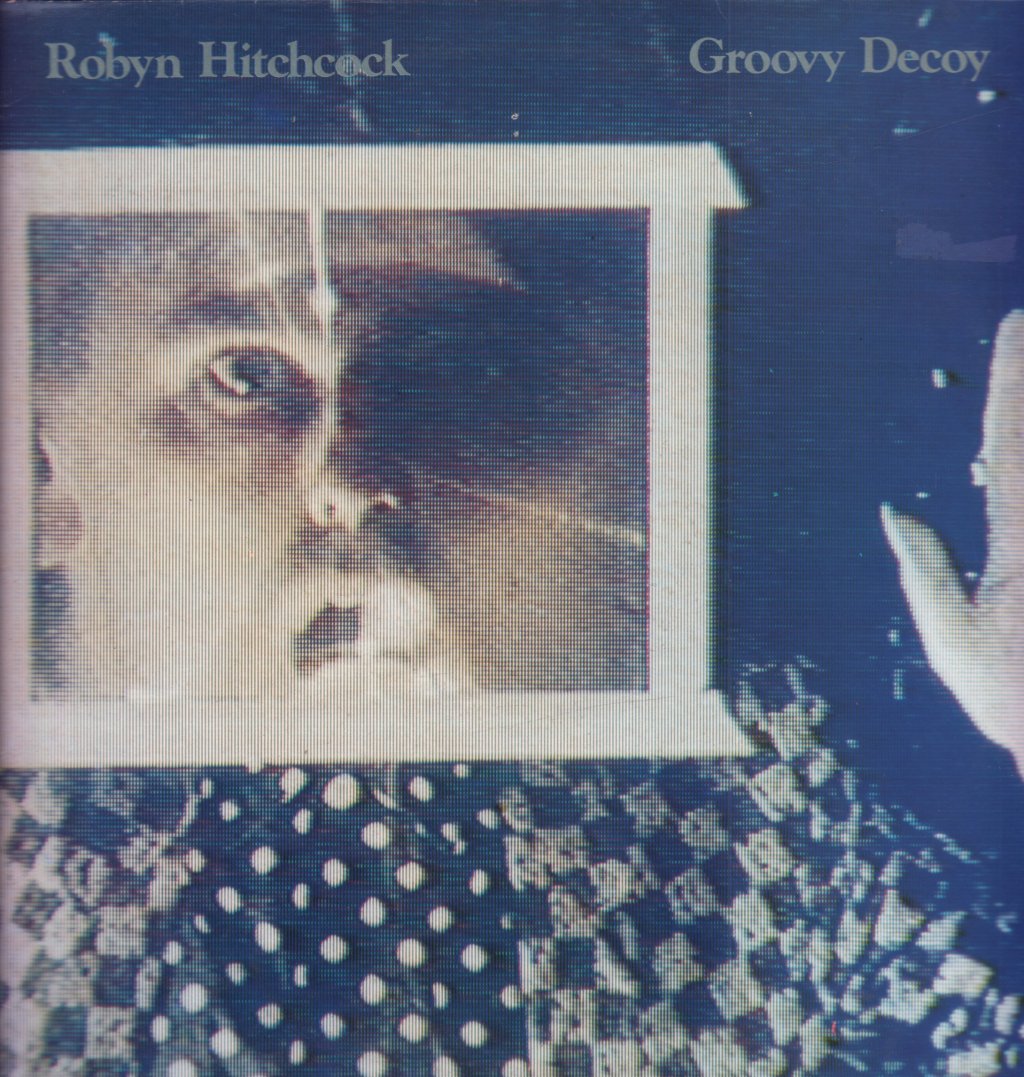 Robyn Hitchcock - Groovy Decoy - Lp