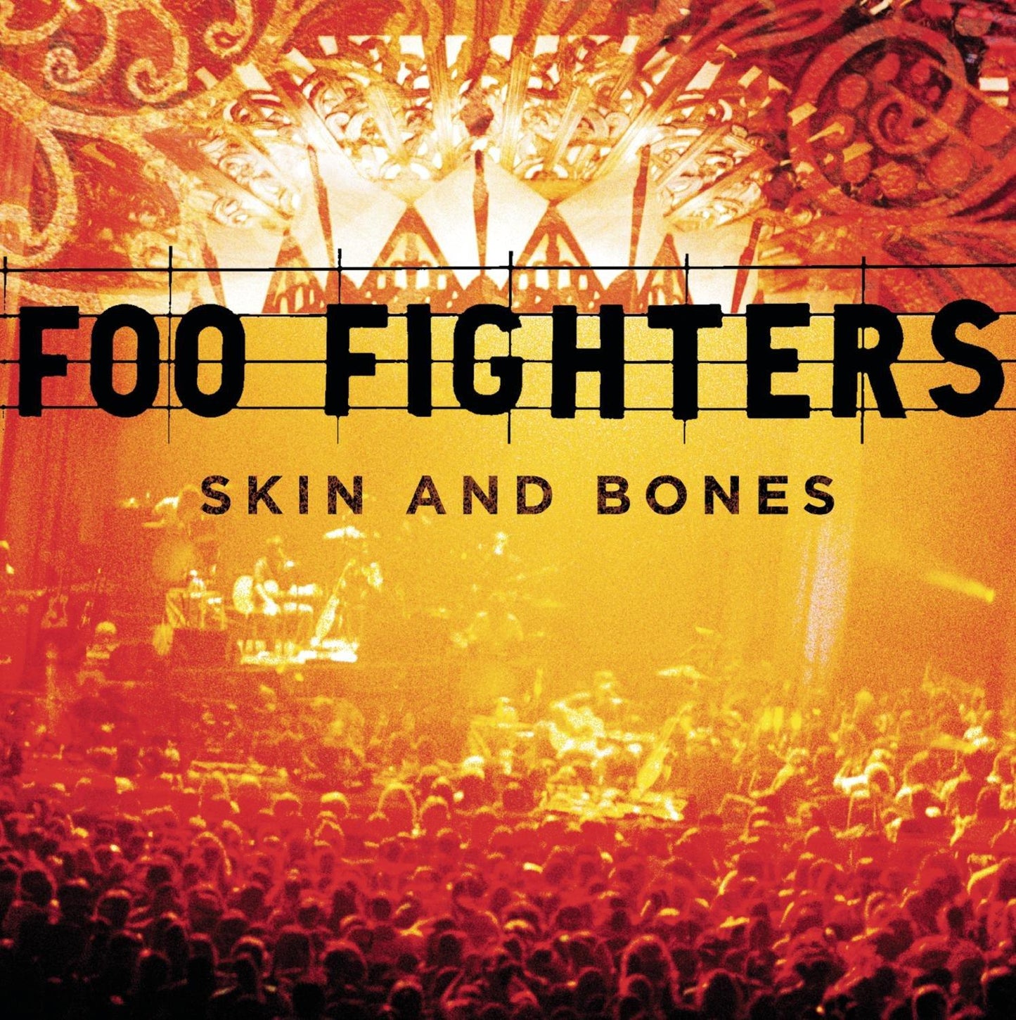 Foo Fighters - Skin and Bones - Cd