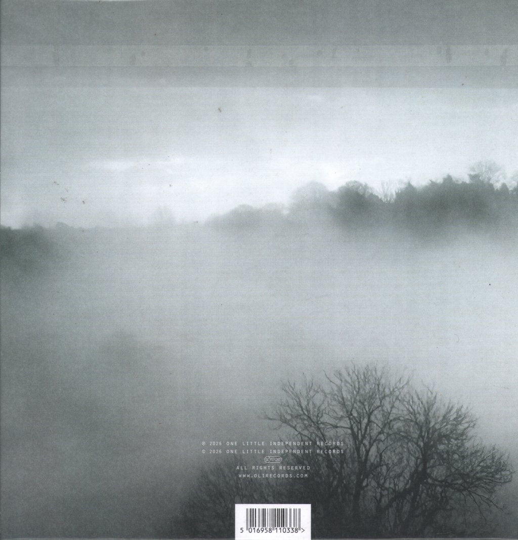 Poppy Ackroyd - Liminal - Lp