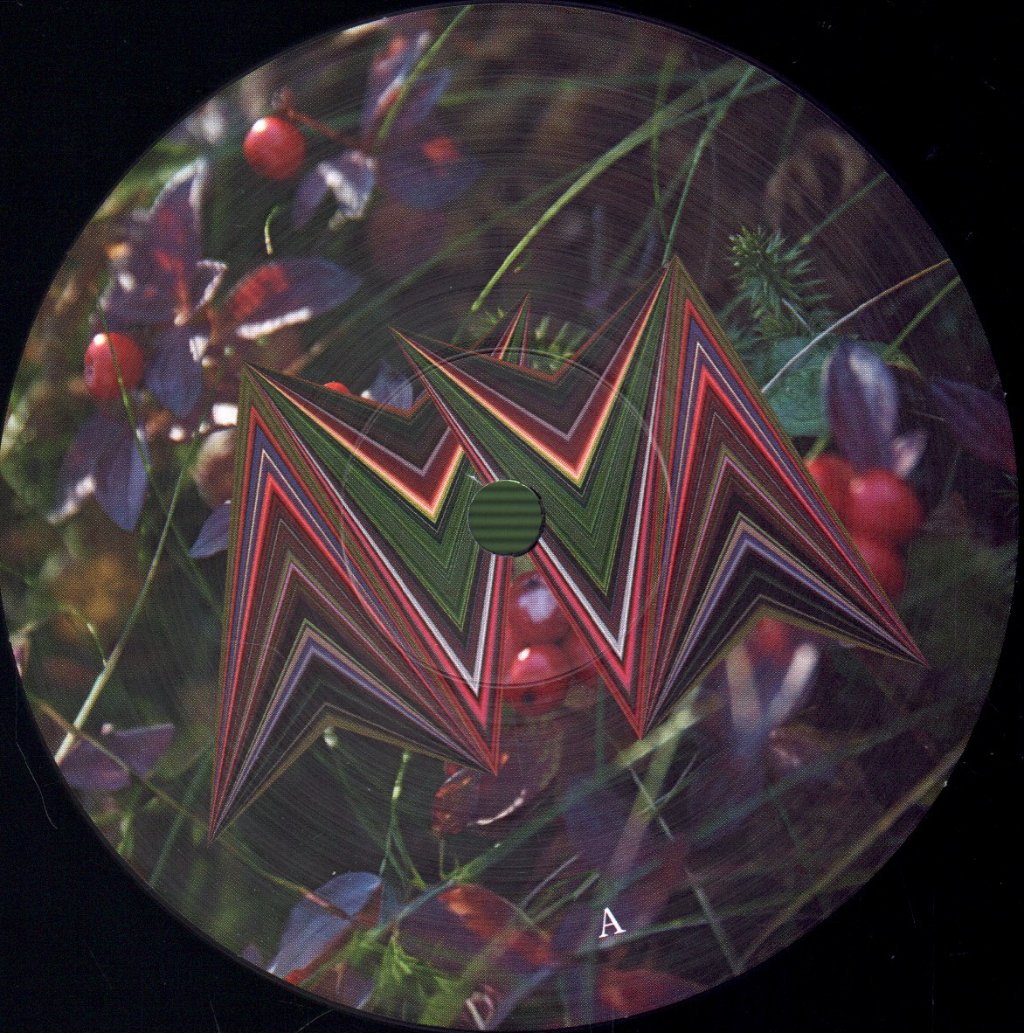 Mari Boine - Alva - Double Lp