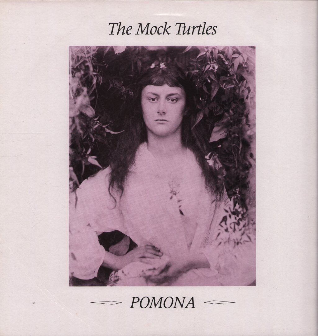 Mock Turtles - Pomona - 12 Inch