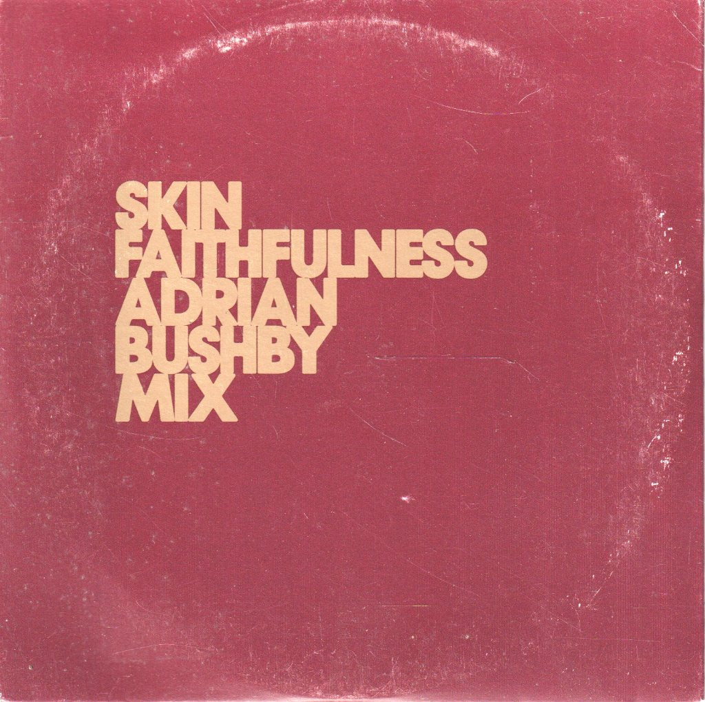 Skin (Ex Skunk Anansie) - Faithfulness - Cd