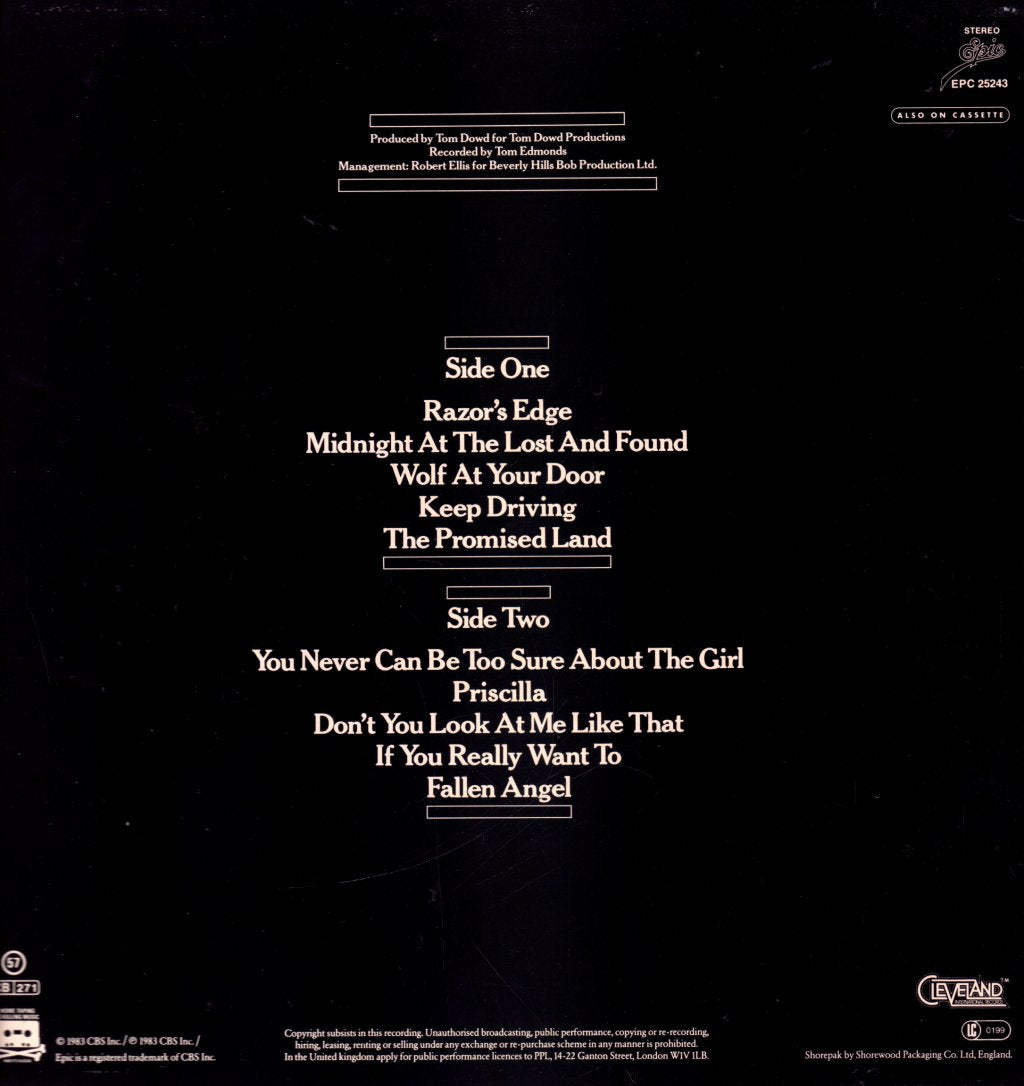 Meat Loaf - Midnight At The Lost And Found - Lp