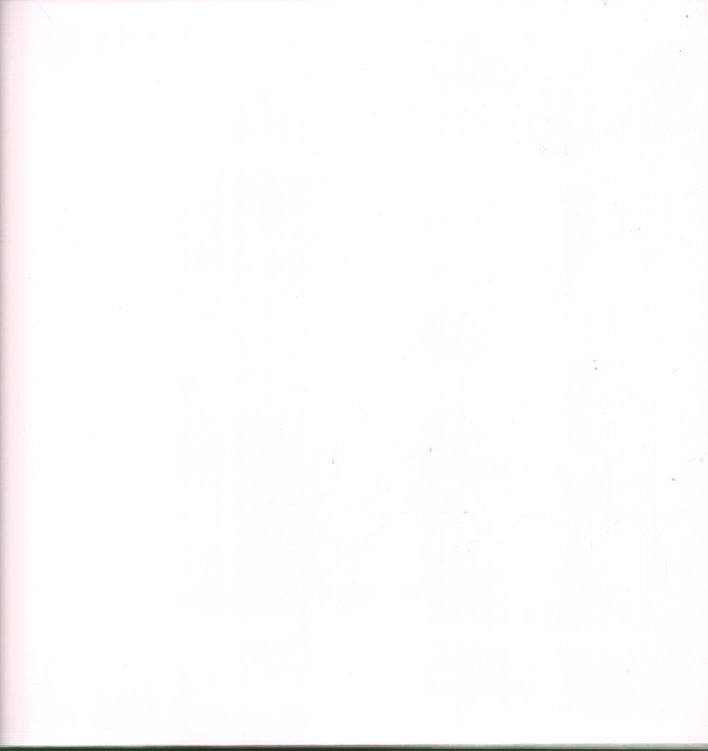 Beatles - White Album - Double Lp