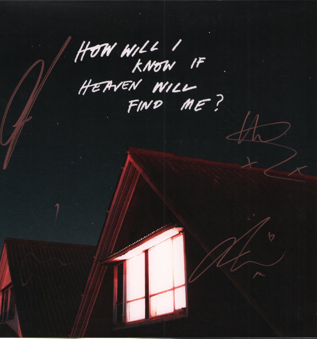 Amazons - How Will I Know If Heaven Will Find Me? - Lp