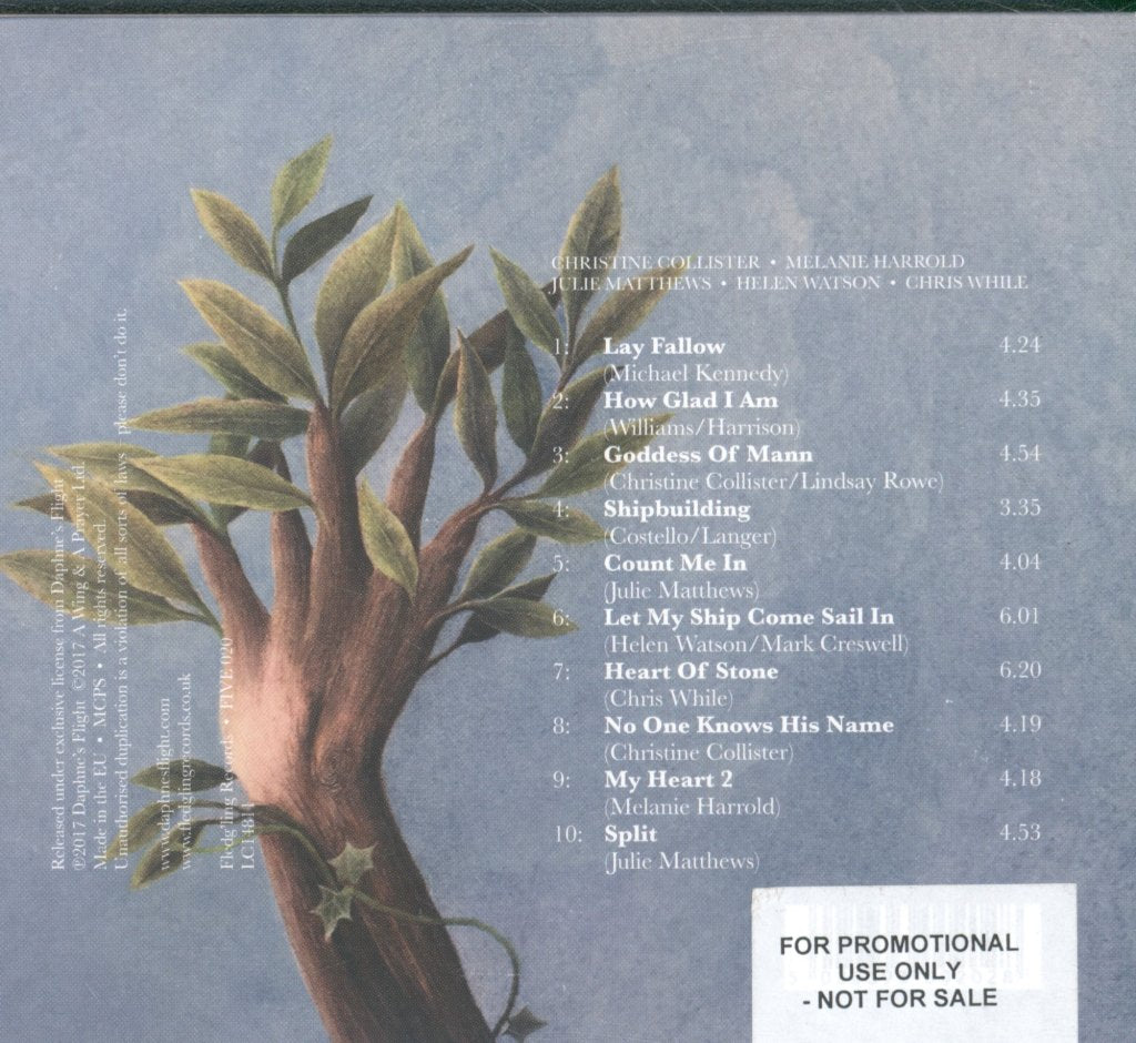 Daphne's Flight - Knows Time, Knows Change - Lp