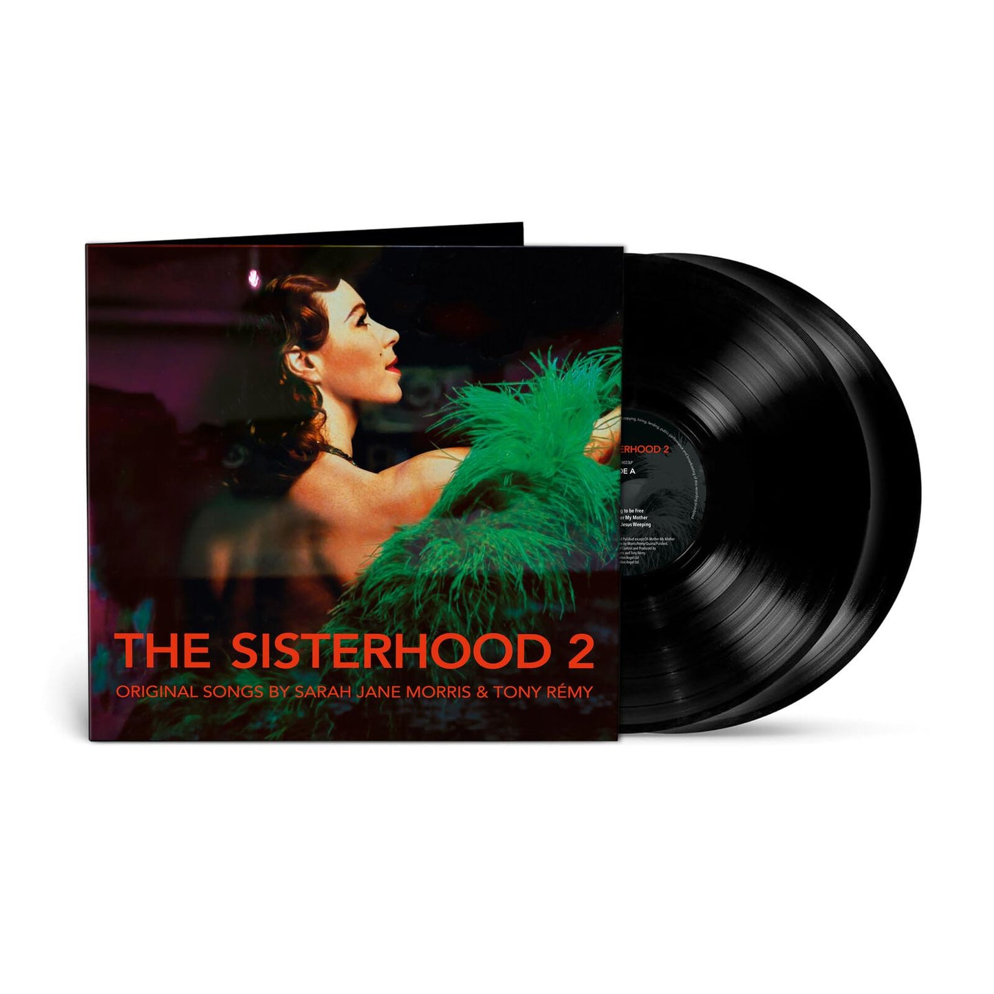 Sarah Jane Morris - Sisterhood 2 - Lp