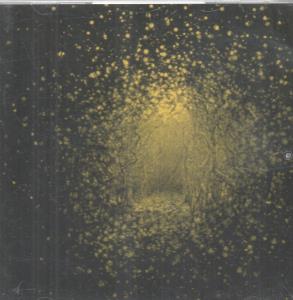 Antlers - Burst Apart - Cd