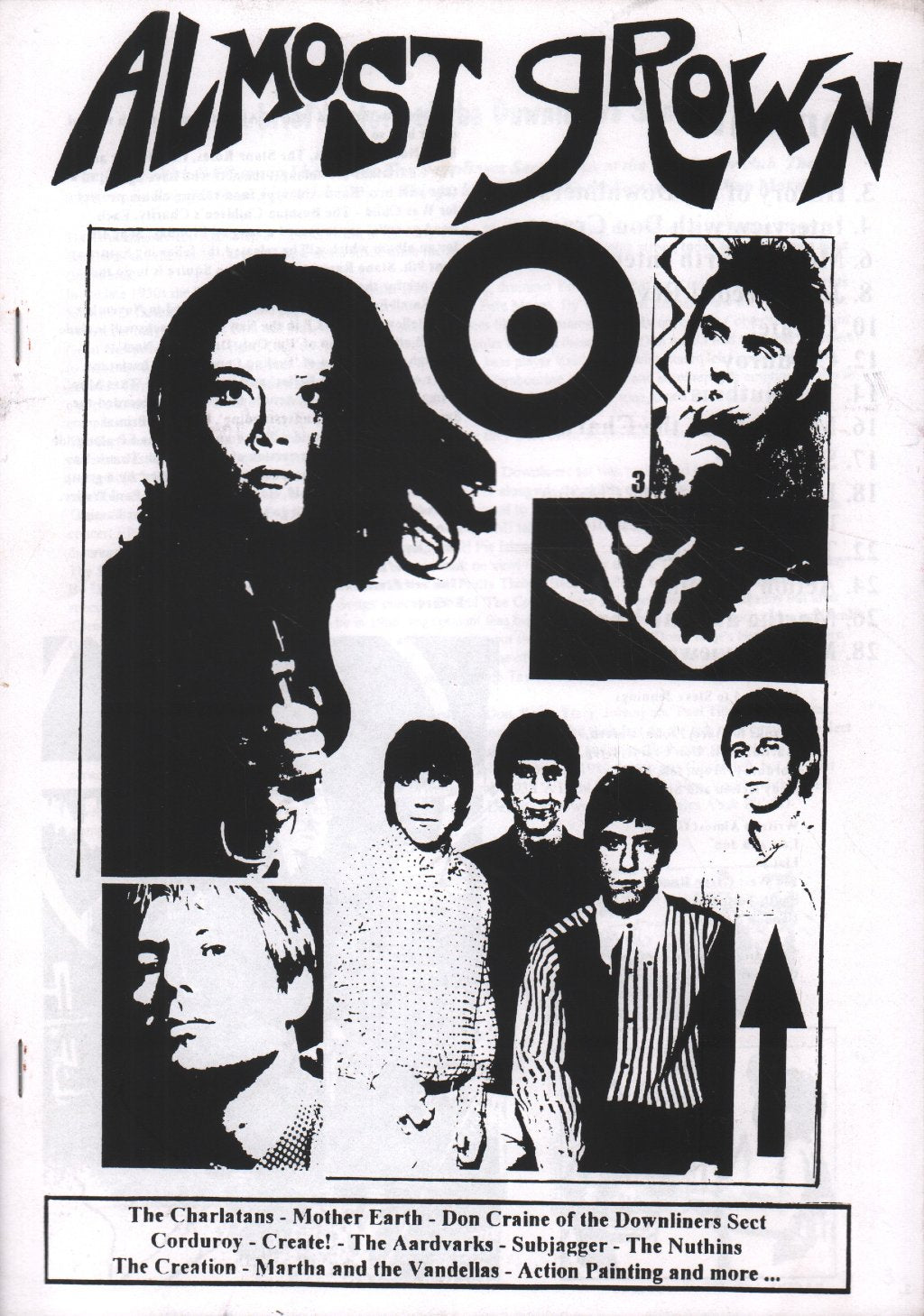 almost grown - issue 3 - Fanzine