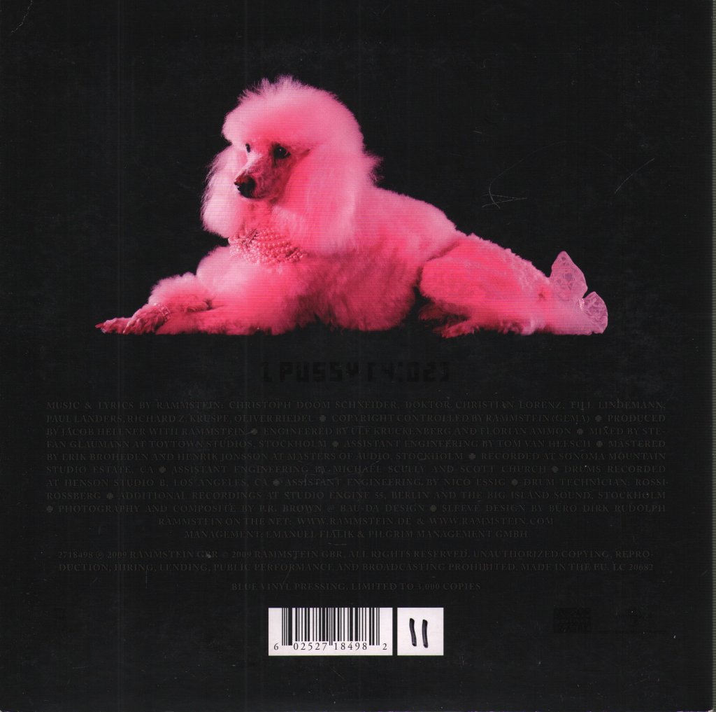 Rammstein - Pussy - 7 Inch