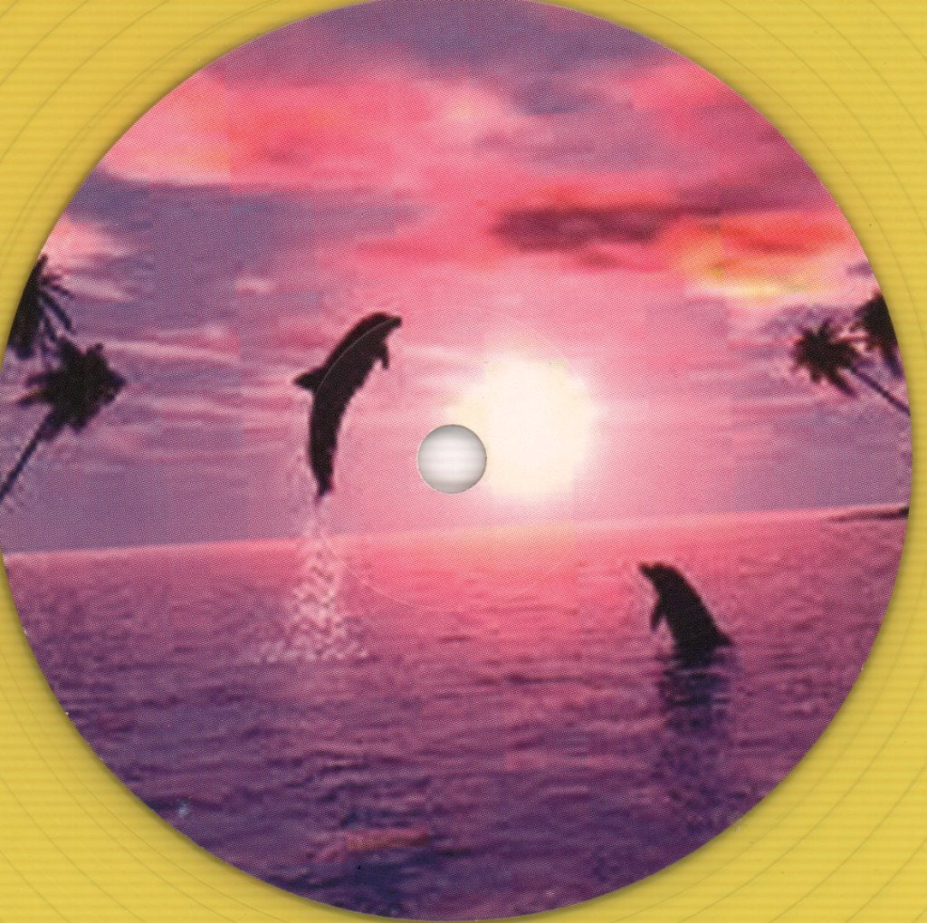 Proper Ornaments - Waiting For The Summer - Lp
