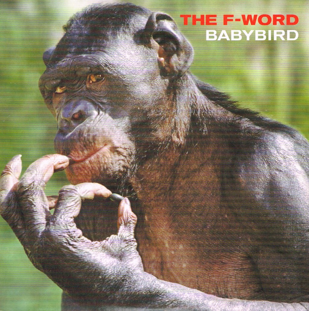 Babybird - F-Word - 7 Inch