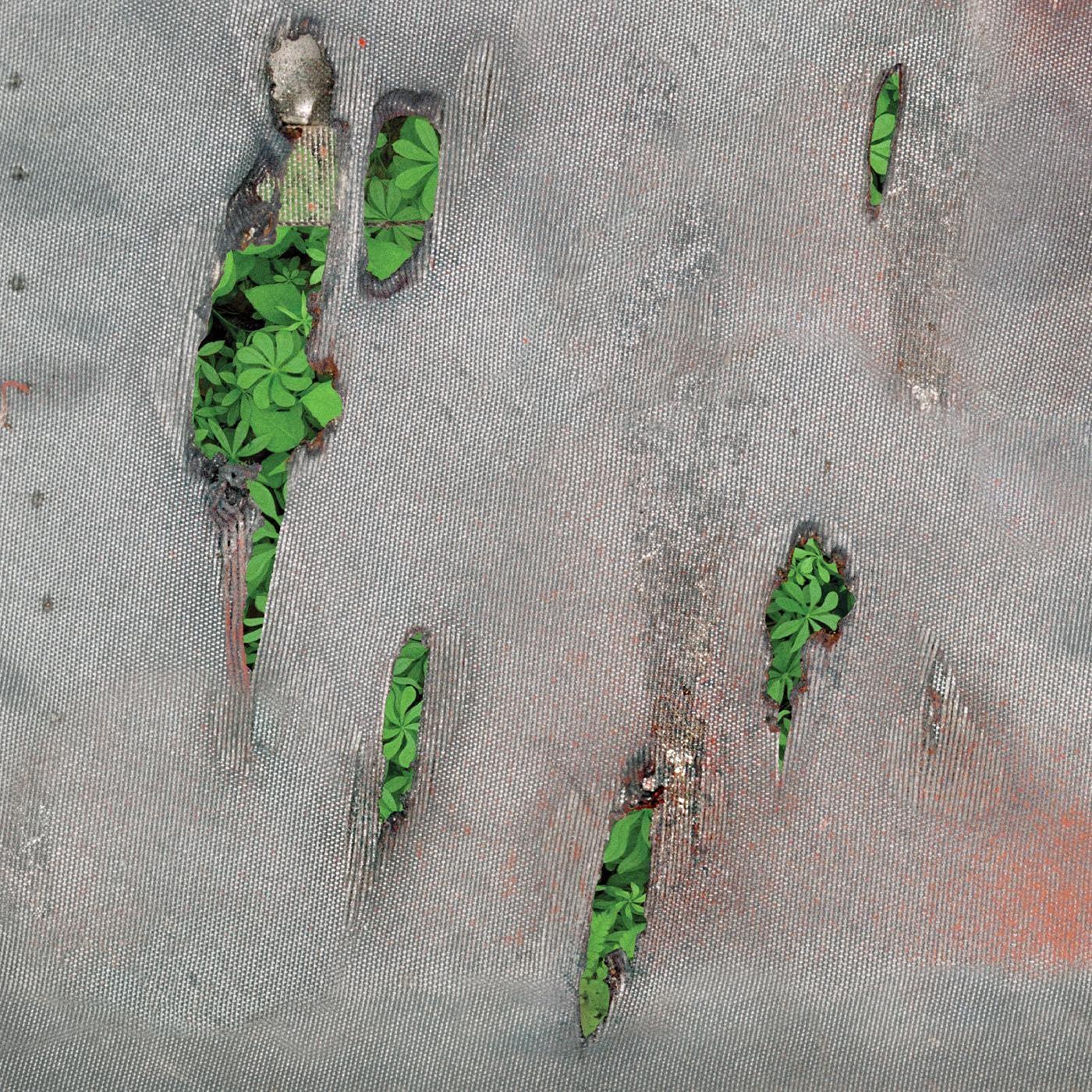 Koreless - Agor - Cd