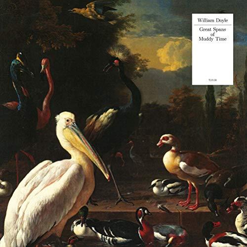 William Doyle - Great Spans of Muddy Time - Cd