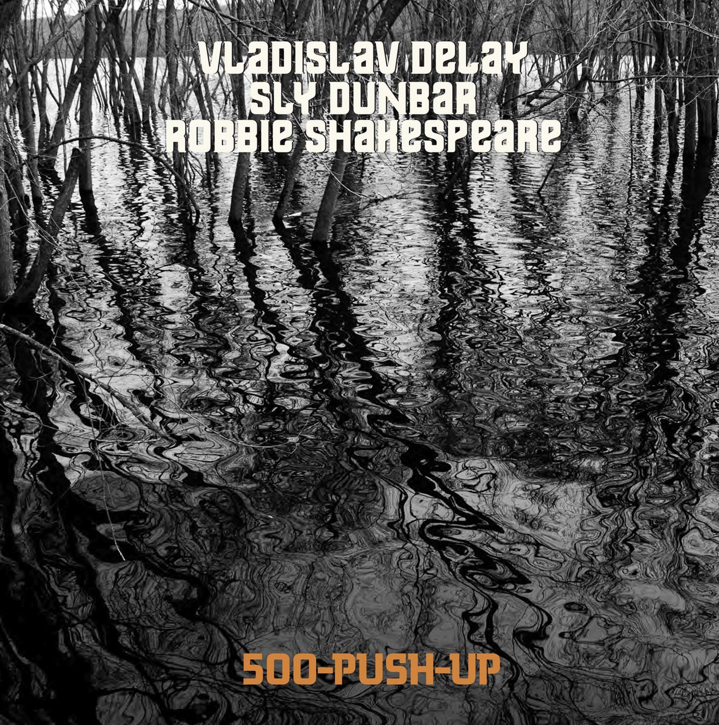 Vladislav Delay Meets Sly & Robbie - 500 Push Up - Lp