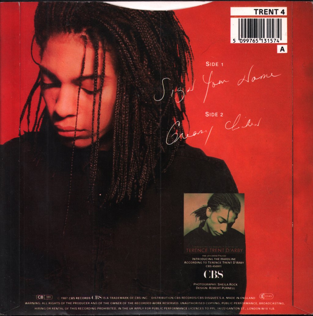 Terence Trent D'Arby - Sign Your Name - 7 Inch